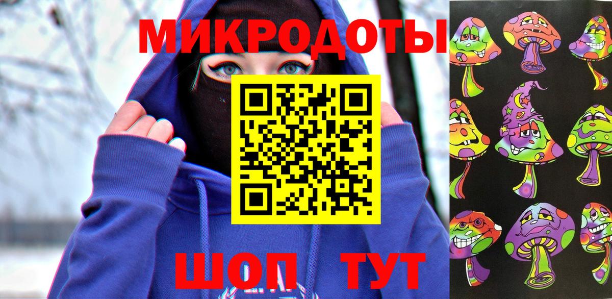 Галлюциногенные грибы Psilocybine cubensis  Вход с VPN  Луга 